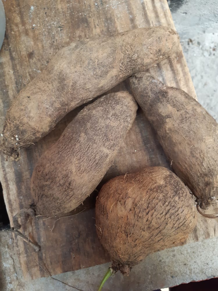 WhatsApp Image 2021-12-08 at 13.05.26 (2).jpeg