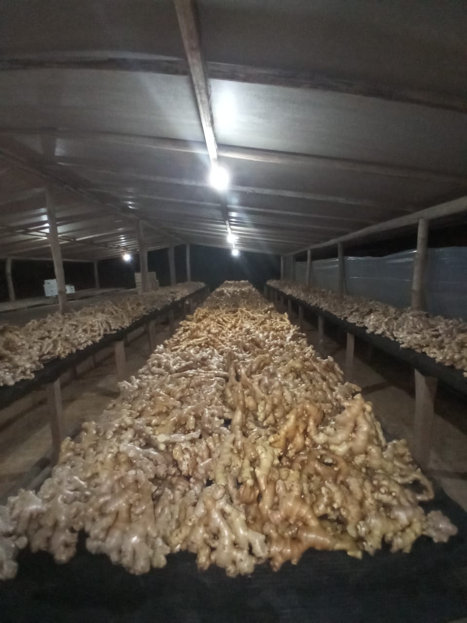 WhatsApp Image 2022-08-25 at 13.01.47 (1).jpeg