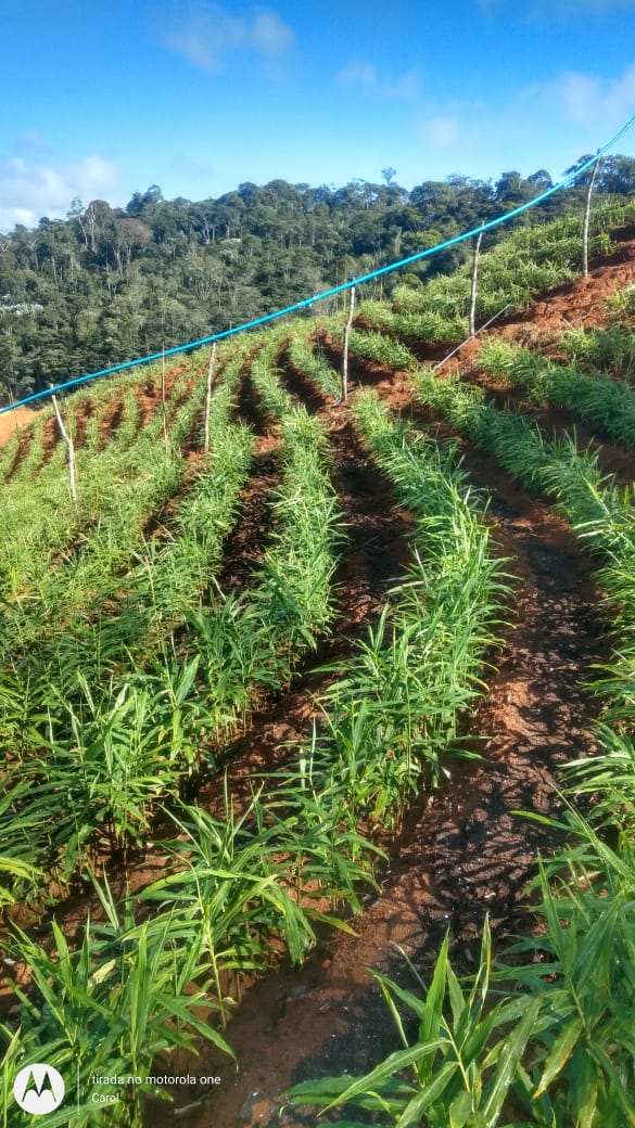 WhatsApp Image 2021-12-05 at 08.10.57.jpeg